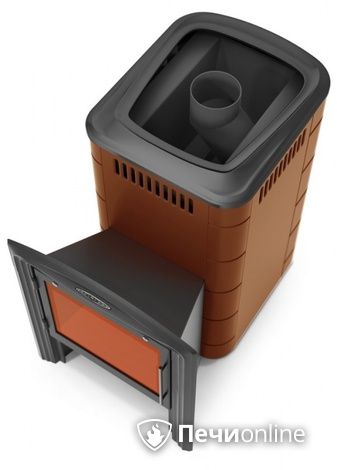 Дровяная печь-каменка TMF Тунгуска 2017 Carbon Витра терракота в Калининграде